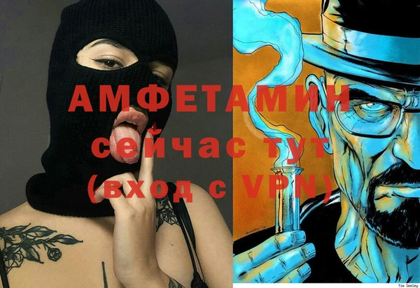 шишки Заволжье