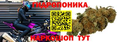 ГАЛЛЮЦИНОГЕННЫЕ ГРИБЫ Бугуруслан